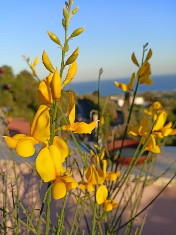 La Petite Maison Aci Castello Εξωτερικό φωτογραφία